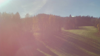 Snímek 7.11.2025 v 11:35