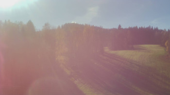 Snímek 7.11.2025 v 11:50