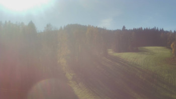 Snímek 7.11.2025 v 12:00