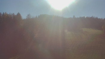 Snímek 7.11.2025 v 13:00