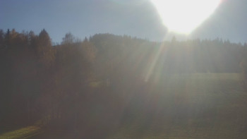 Snímek 7.11.2025 v 13:25