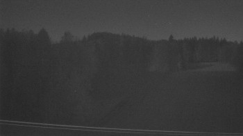 Snímek 7.11.2025 v 17:30