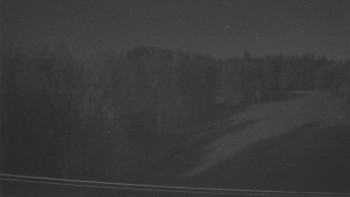 Snímek 7.11.2025 v 17:35