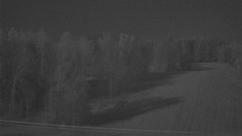 Snímek 7.11.2025 v 19:20