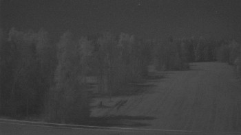 Snímek 7.11.2025 v 22:35