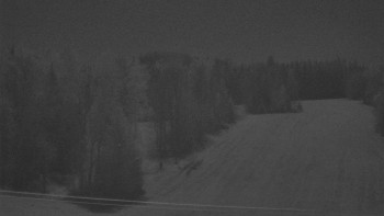 Snímek 8.11.2025 v 02:20