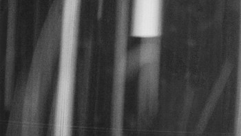 Snímek 8.11.2025 v 19:00