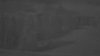 Snímek 8.11.2025 v 20:40