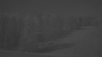 Snímek 8.11.2025 v 21:15