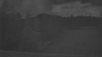 Snímek 9.11.2025 v 00:50