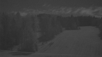 Snímek 9.11.2025 v 04:35