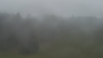 Snímek 9.11.2025 v 16:35