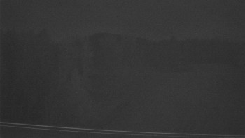 Snímek 11.11.2025 v 00:40