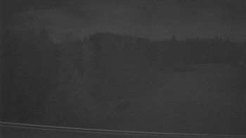 Snímek 11.11.2025 v 01:05