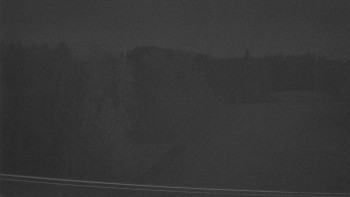 Snímek 11.11.2025 v 03:55