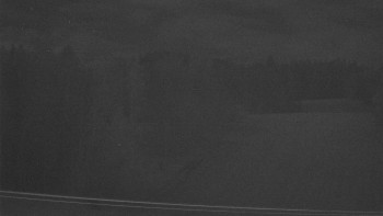 Snímek 12.11.2025 v 04:10