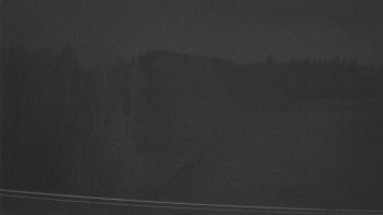 Snímek 13.11.2025 v 02:55