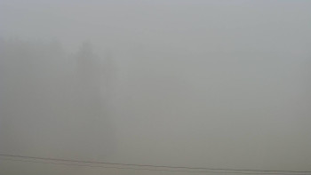 Snímek 15.11.2025 v 15:10