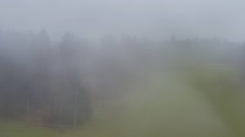 Snímek 17.11.2025 v 12:55