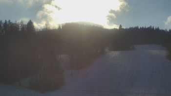 Snímek 19.11.2025 v 12:55