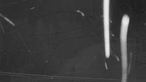 SKICENTRUM Miroslav Lipová Lázně - Dojezd hlavní sjezdovky - 28.12.2025 v 02:05 SKICENTRUM Miroslav Lipová Lázně - Dojezd hlavní sjezdovky - 28.12.2025 v 02:05