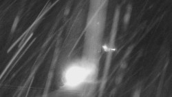 Dojezd hlavní sjezdovky