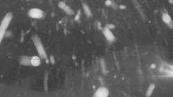 Dojezd hlavní sjezdovky