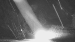 Dojezd hlavní sjezdovky