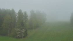 Dojezd hlavní sjezdovky