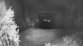 Snímek    21.10.2025 v 23:45