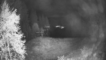 Snímek    25.10.2025 v 00:15