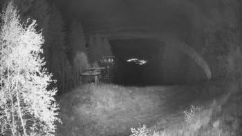 Snímek    25.10.2025 v 04:00