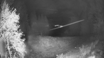 Snímek    25.10.2025 v 22:00