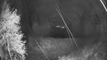 Snímek    25.10.2025 v 23:00