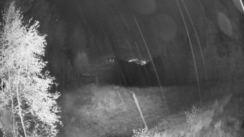 Snímek    26.10.2025 v 00:00