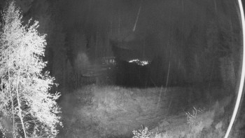 Snímek    26.10.2025 v 00:15