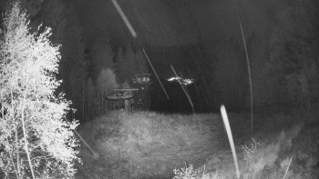 Snímek    26.10.2025 v 02:45
