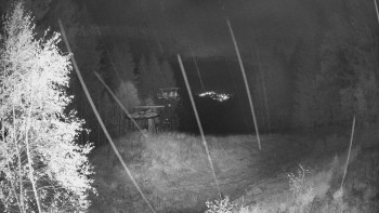 Snímek    26.10.2025 v 04:00