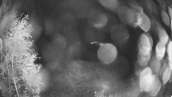 Snímek    26.10.2025 v 20:00
