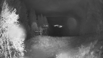 Snímek    26.10.2025 v 22:45