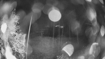 Snímek    27.10.2025 v 19:30