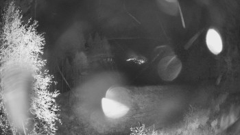Snímek    27.10.2025 v 21:45