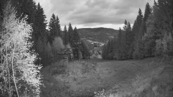 Snímek    28.10.2025 v 06:00