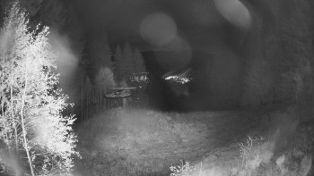 Snímek    28.10.2025 v 18:45