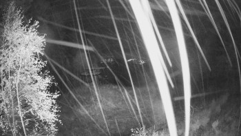 Snímek    28.10.2025 v 22:15