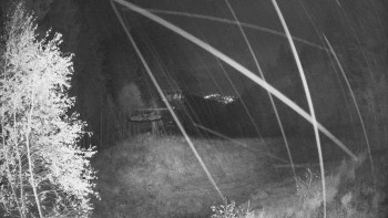 Snímek    28.10.2025 v 23:30