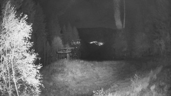 Snímek    29.10.2025 v 00:30