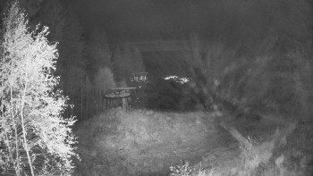 Snímek    29.10.2025 v 02:30