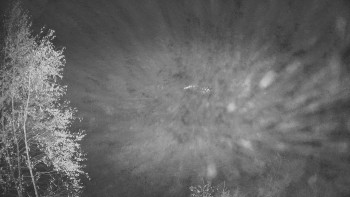 Snímek    29.10.2025 v 02:45