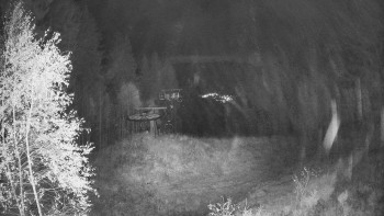 Snímek    29.10.2025 v 03:15